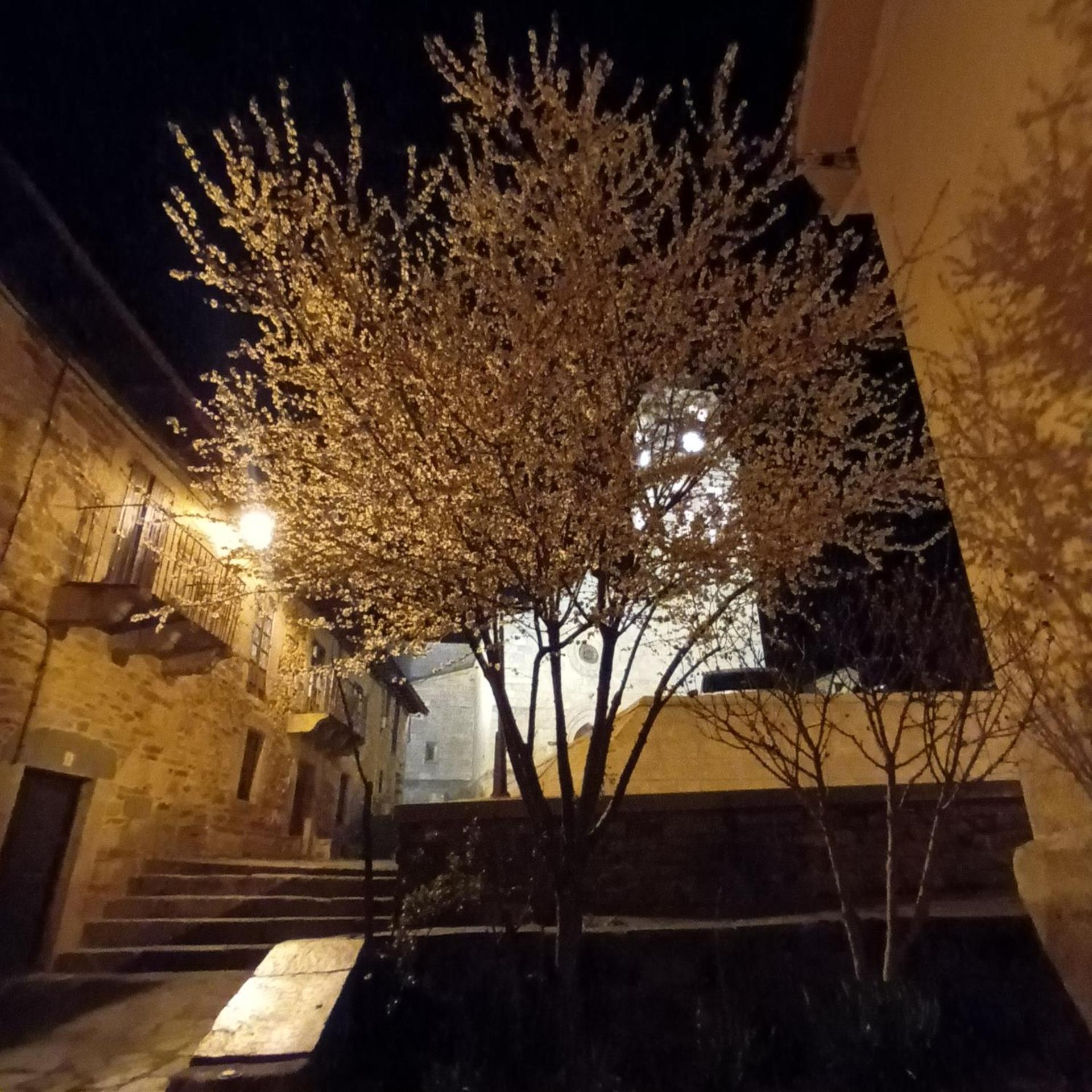 La Artesonada casa con finca  Villa Puebla de Sanabria Exterior foto